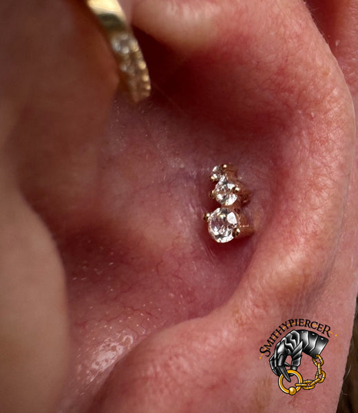A golden conch piercing by Jordan!